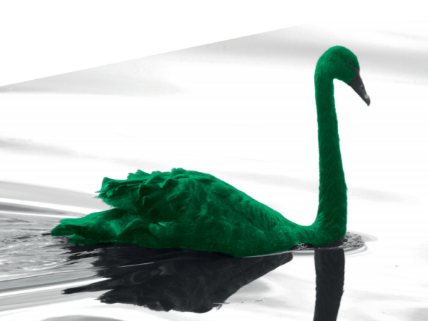 [ENG/FR] Integrating climate risk into the European economic governance: next steps.